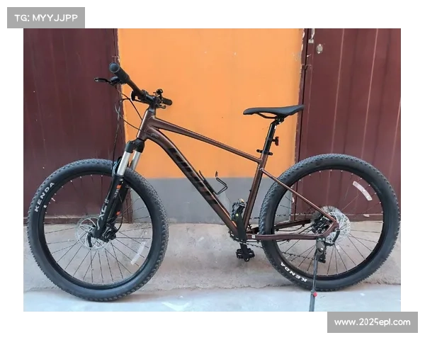 1X单盘系统在公路车领域回归，尤其适用于耐力赛与古典赛